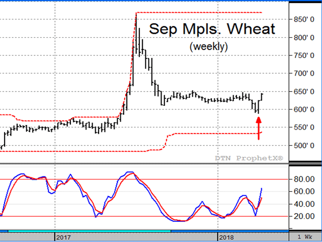 USDA&#039;s higher spring wheat planting estimate of 12.6 million acres on March 29 sent Sep Minneapolis wheat prices below $6.00 for the first time in nearly 10 months, but the dip was short-lived. Snow on the ground and a forecast for below-average temperatures across the U.S. Northern Plains in April contributed to a bullish outside weekly reversal last week -- a technical sign of possibly higher prices ahead. Source: DTN&#039;s Prophet X (DTN chart)